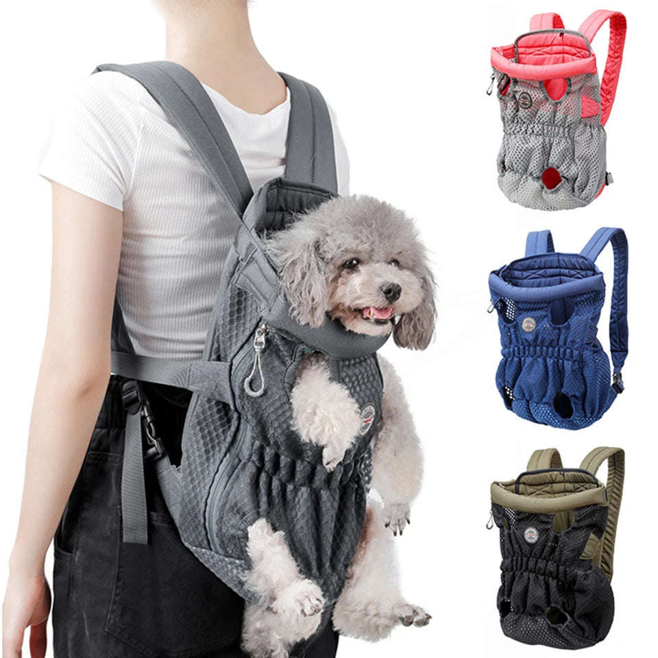 Interactive Dog Chew Toy