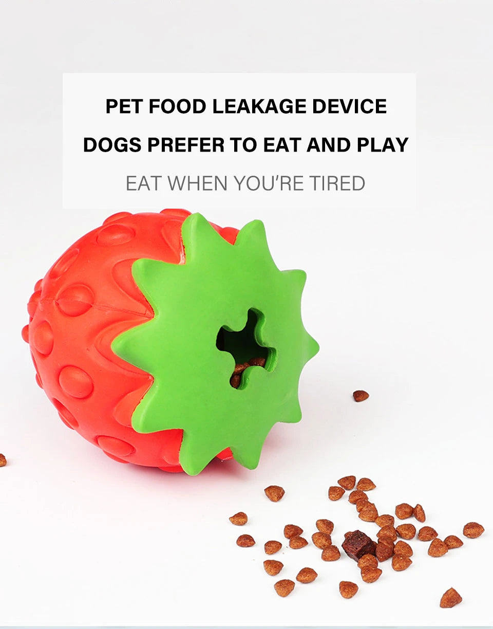 Interactive Dog Chew Toy