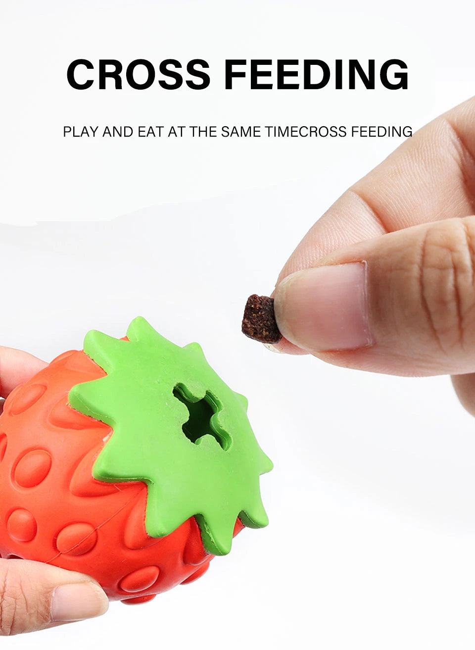 Interactive Dog Chew Toy