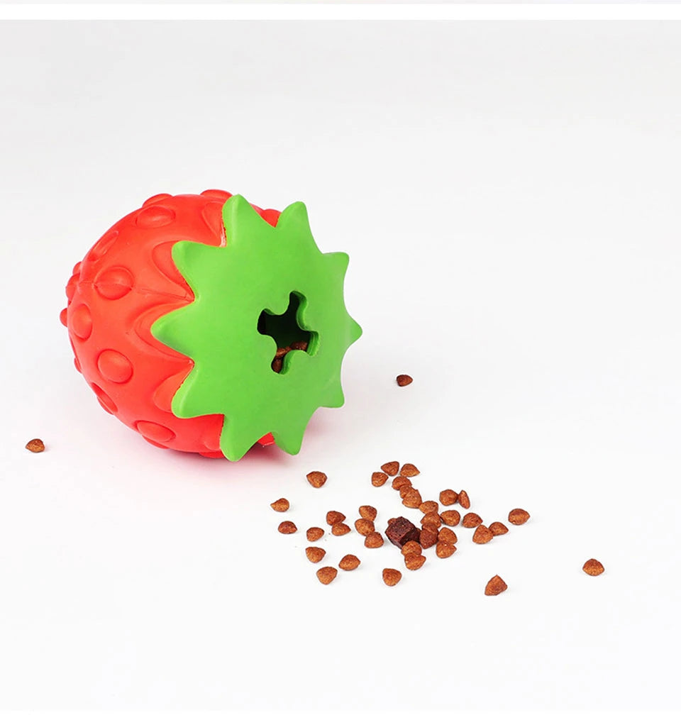 Interactive Dog Chew Toy