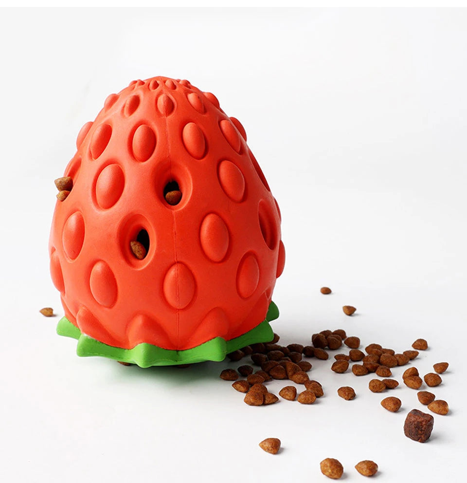Interactive Dog Chew Toy