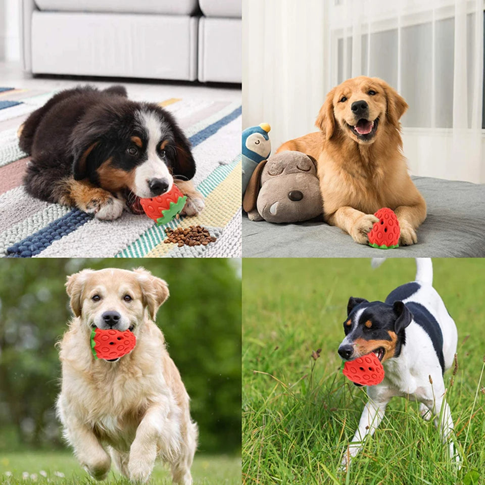 Interactive Dog Chew Toy
