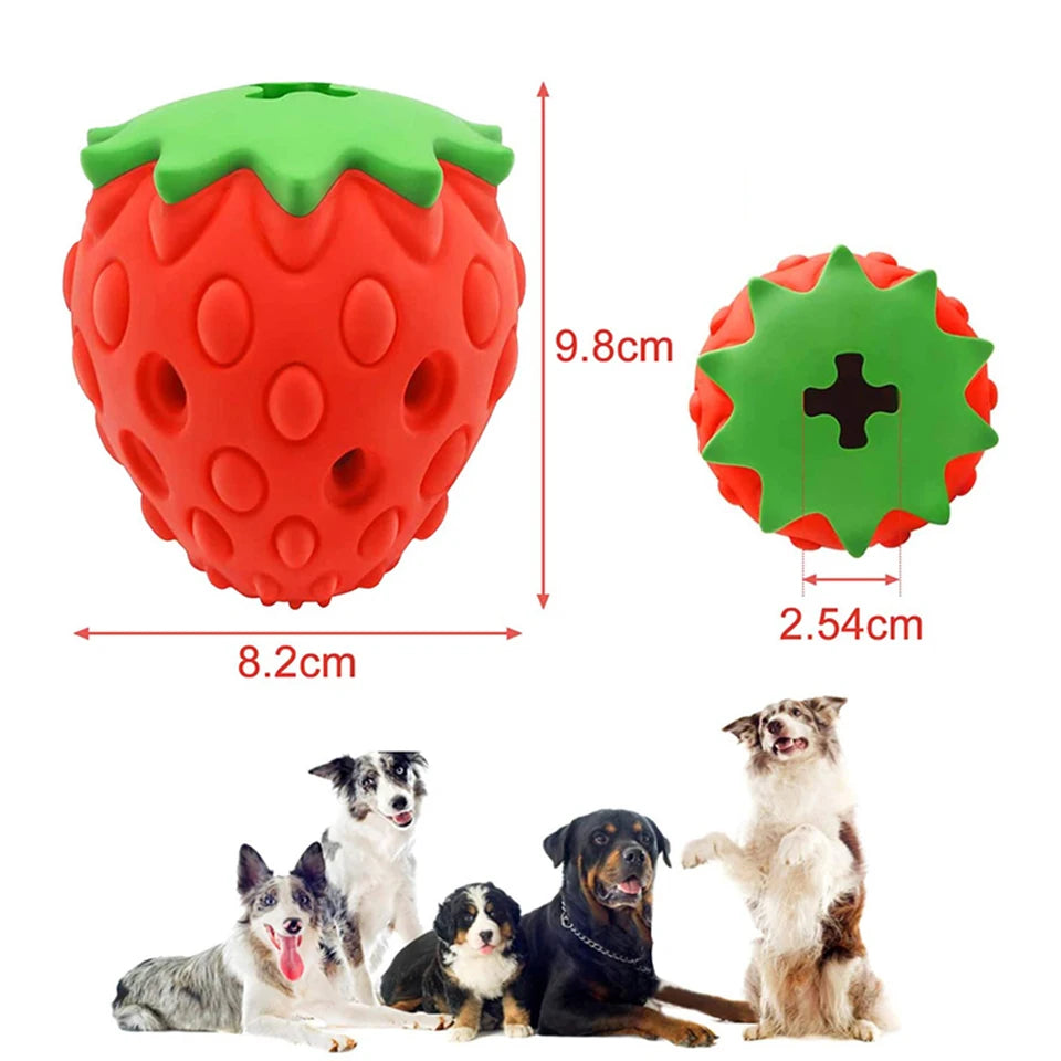 Interactive Dog Chew Toy