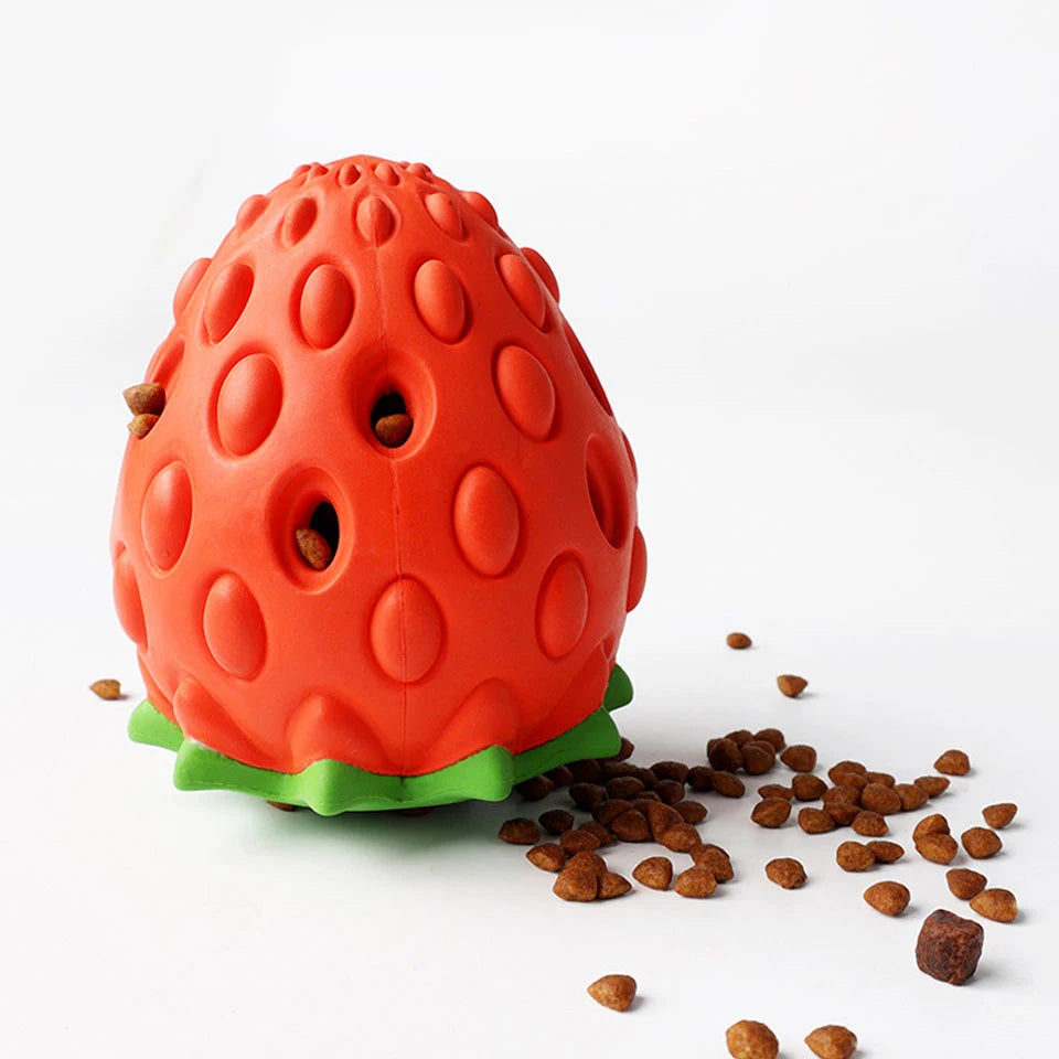 Interactive Dog Chew Toy