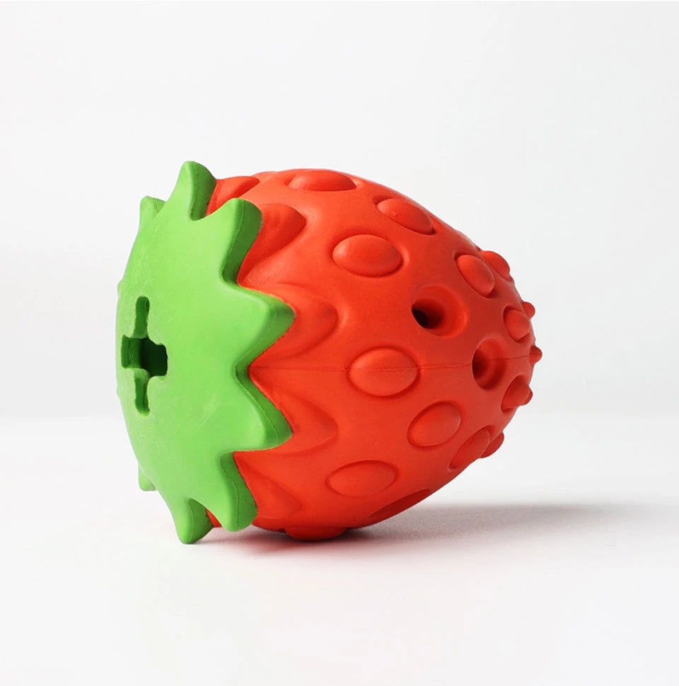 Interactive Dog Chew Toy