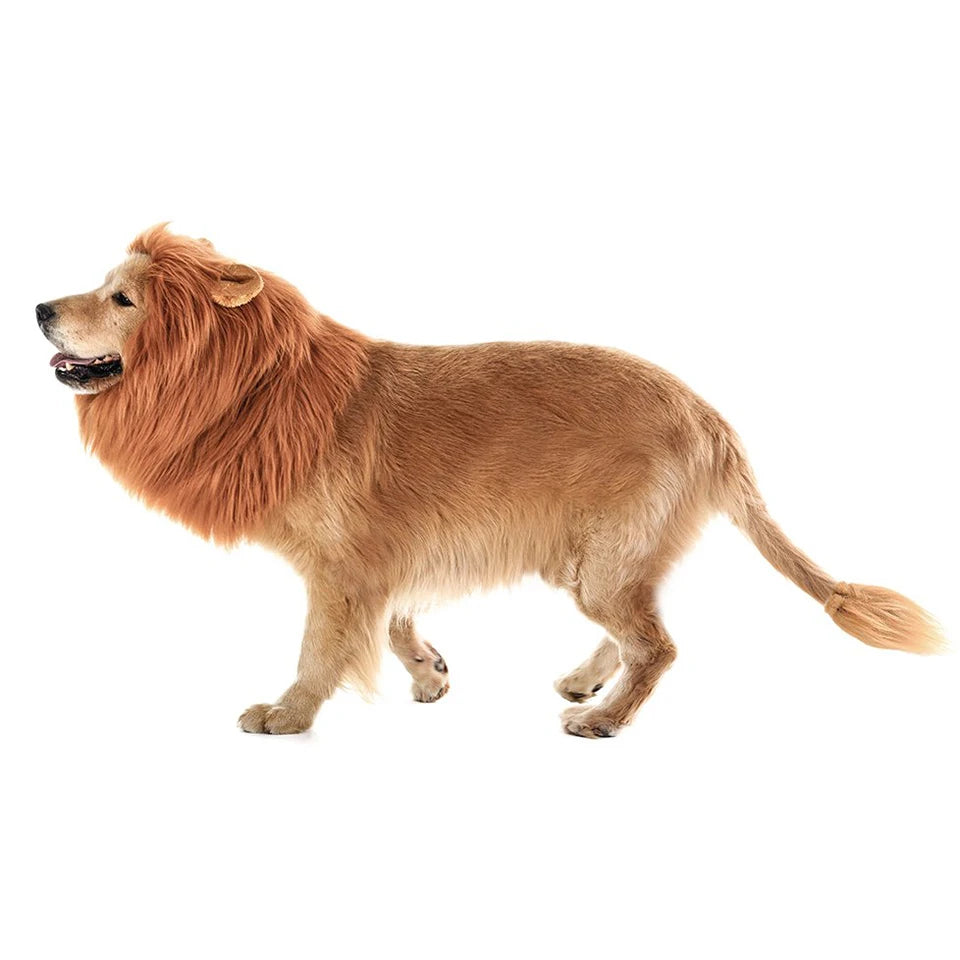 Interactive Dog Chew Toy