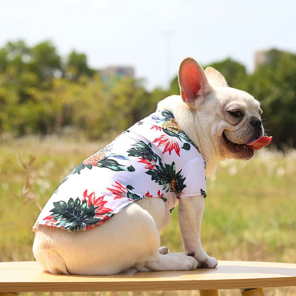 Interactive Dog Chew Toy