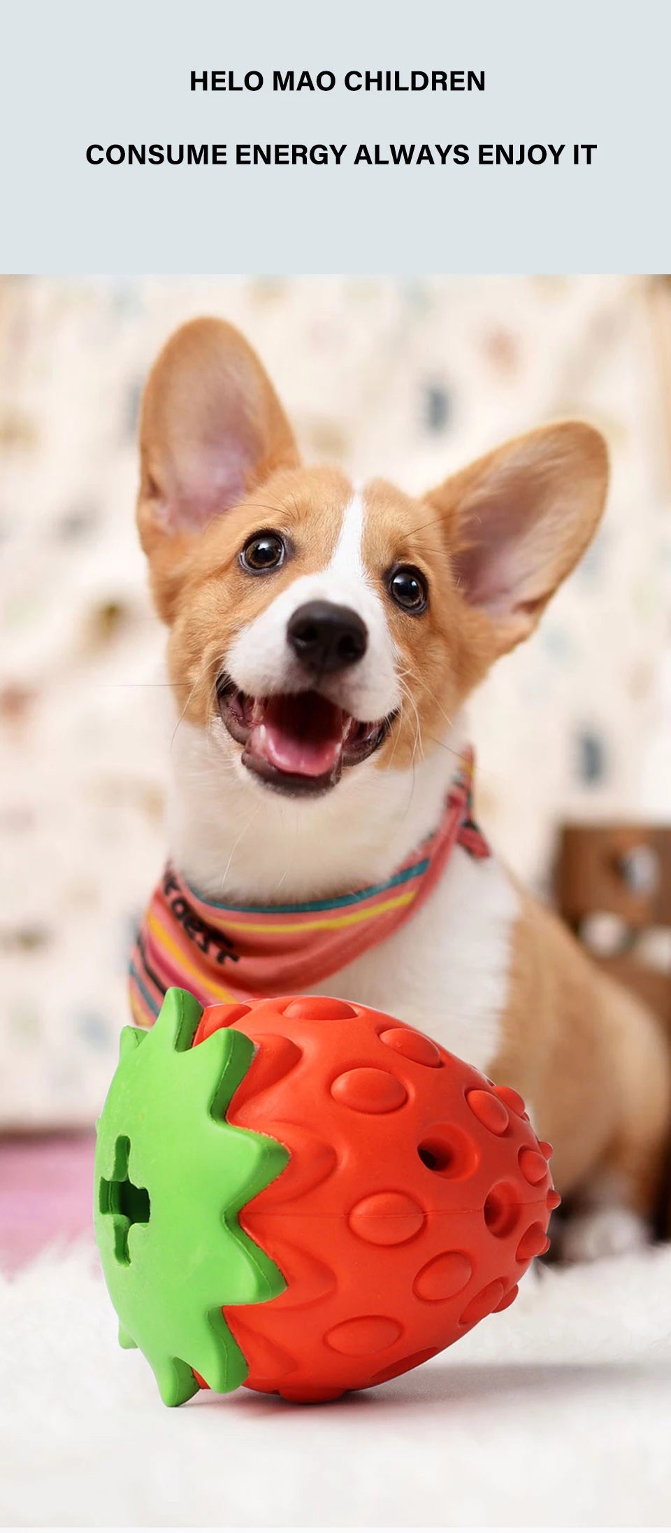 Interactive Dog Chew Toy