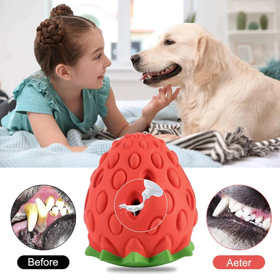 Interactive Dog Chew Toy