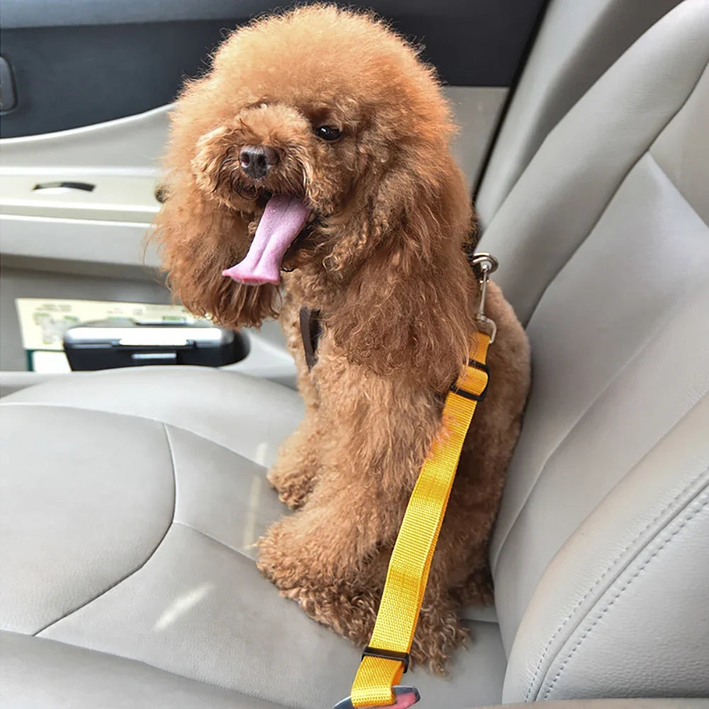 Adjustable Pet Car Seat Belt - Multiple Colours
