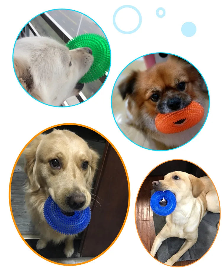Durable Dog Chew Toy With Squeaker