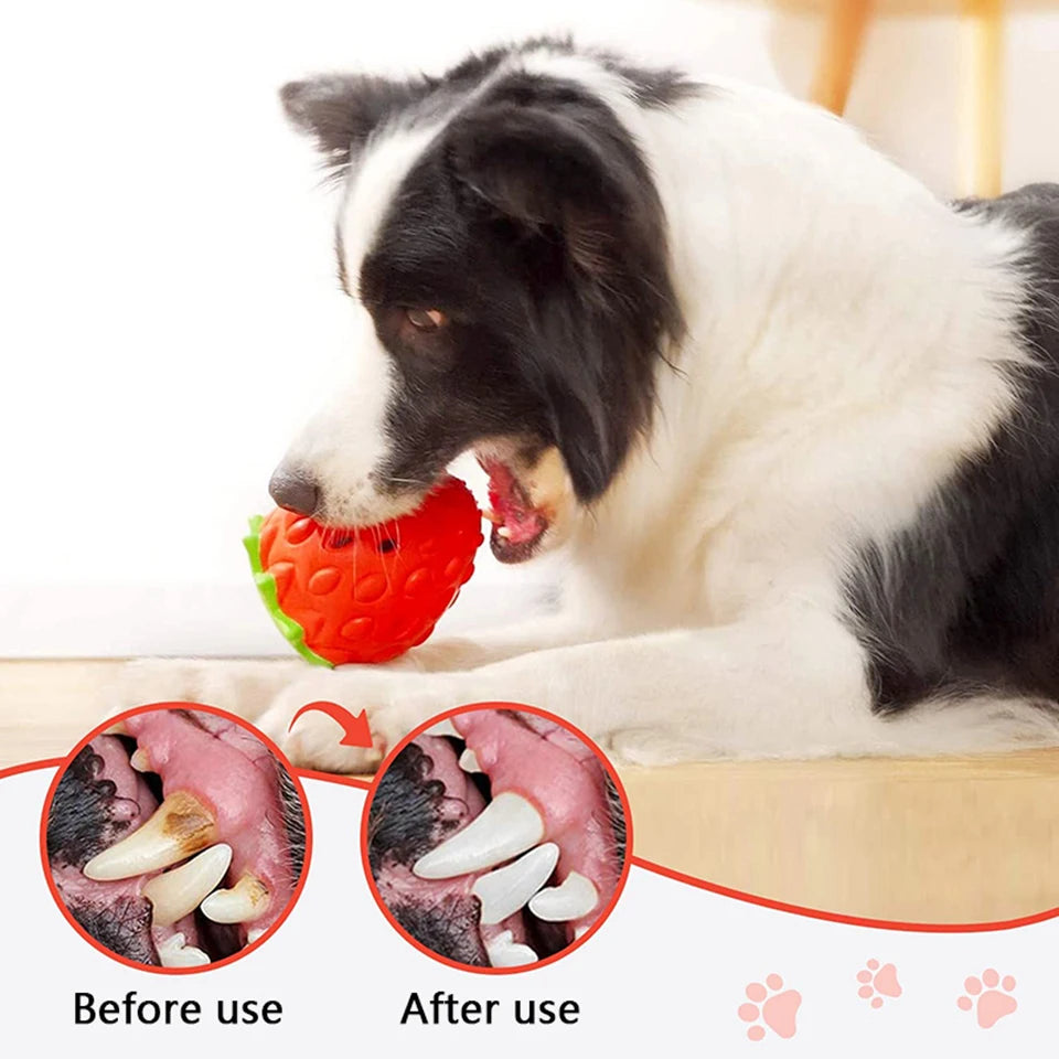 Interactive Dog Chew Toy