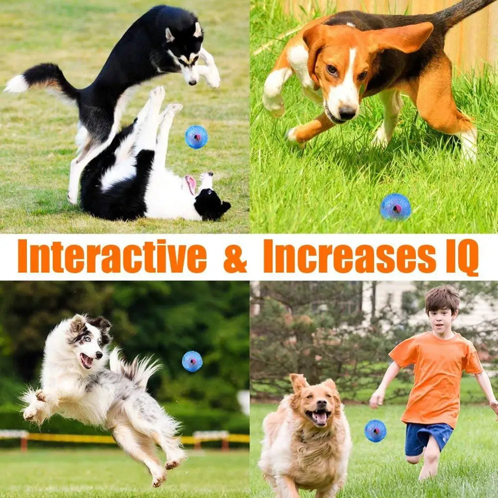 Interactive IQ Chew Toys Ball for Medium-Large Dogs