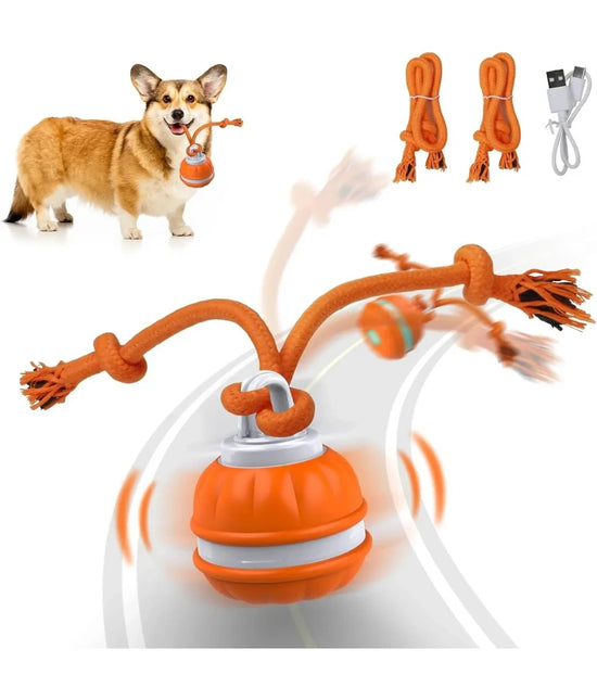 Pet Ball for Dogs, Interactive Toy
