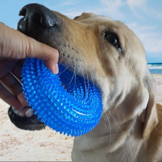 Durable Dog Chew Toy With Squeaker