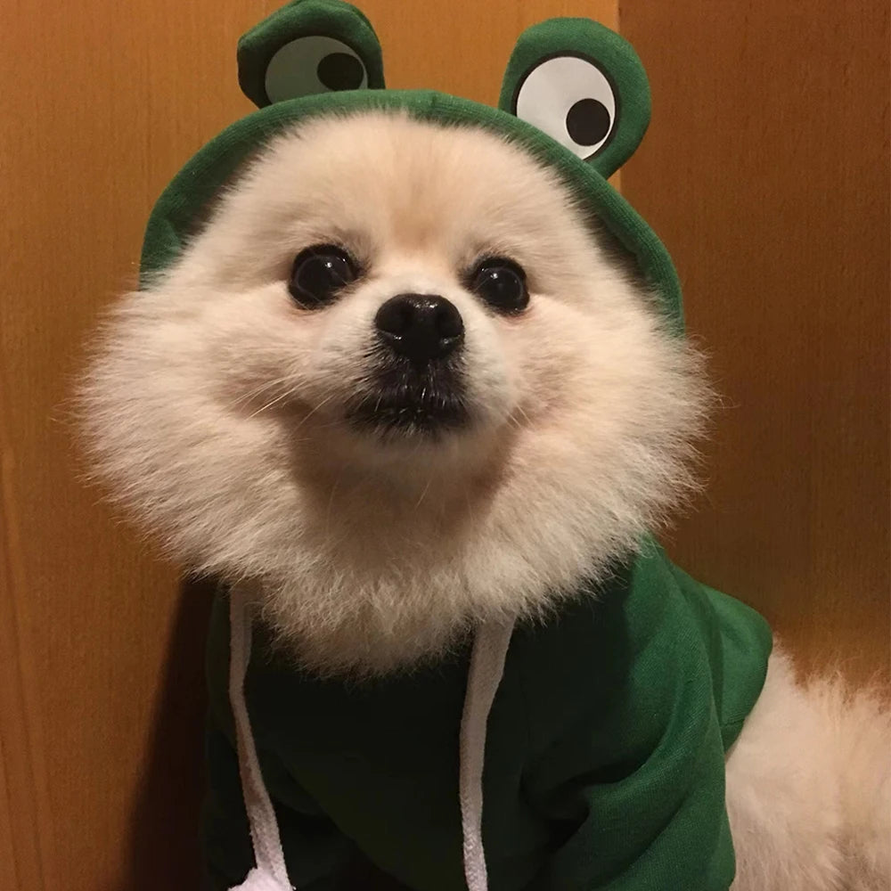 Pet Hoodies - Frog